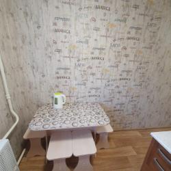 Фото Апартаменты на улице Мира 54