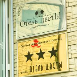 Фото Отель Цветы