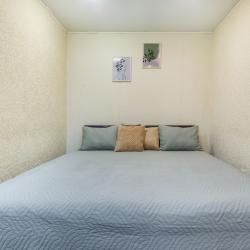 Фото Отель ApartLux (АпартЛюкс) на улице Шепелюгинская