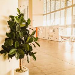 Фото RecoRoom Капсульный отель (РекоРум)