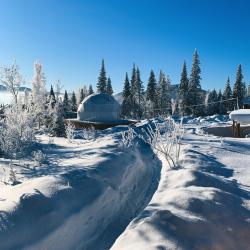 Фото Отель DzenDome (ДзенДом)