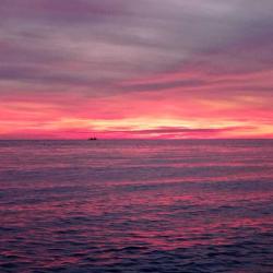 Фото Апартаменты на Урожайной 31/3