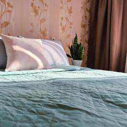 2-комнатные апартаменты стандарт Тольятти, Ленинский проспект, д. 13