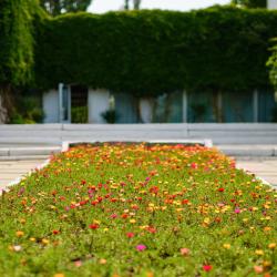 Фото Отель Крымское Приазовье