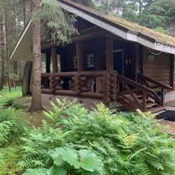 Фото Отель Green Forest Club (Грин форест клаб)