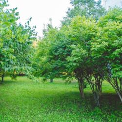 Фото Авиаотель