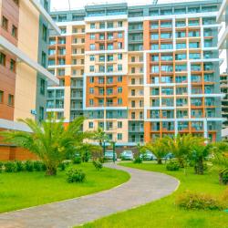 Апартаменты студия с диваном №1