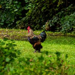 Фото Отель Лель