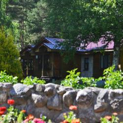 Фото Отель Пушкиногорье