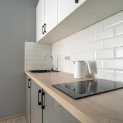фото 9 Rental (РенталСПб) на улице Боровая 34/24