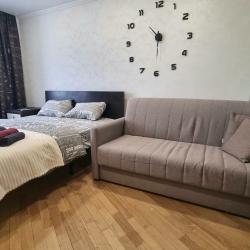 Фото Апартаменты на улице Пушкина 14