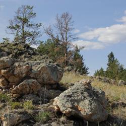 Фото Отель Байкал-кэмп