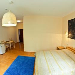 Фото Отель Большая Медведица