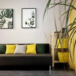 Фото Отель White Sea Aparts на улице Ломоносова 85 корпус 2