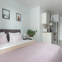 Фото Отель Apartmens PTS (Апартменс ПТС) на улице Кадомцева 2А