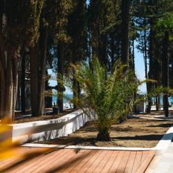 Фото Парк-отель Московский