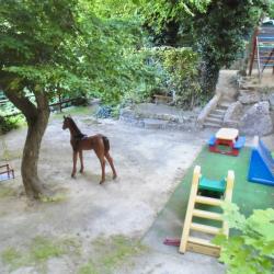 Фото Отель Гостевой дом Сувенир