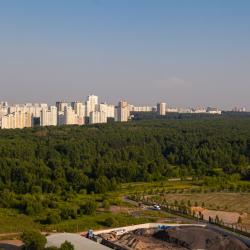 фото 63 Санди на Востряковском