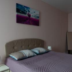 Фото Уютные апартаменты на улице Новгородская