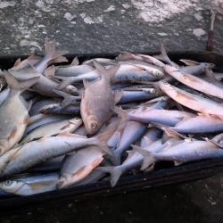 Фото Отель Рыбацкие просторы