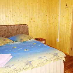 Номер стандарт с 1 двуспальной кроватью (с завтраком)