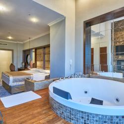 Номер люкс премиум с 1 двуспальной кроватью