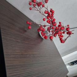 Фото Апартаменты на улице Ойунского 7