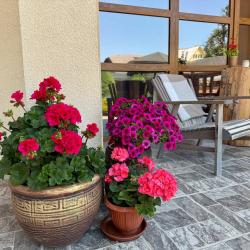 Фото Отель Вертикаль