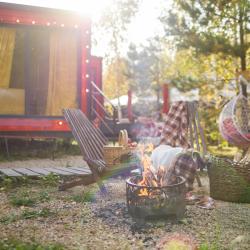 Коттедж стандарт Гриффиндор