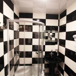 Фото Отель Домино