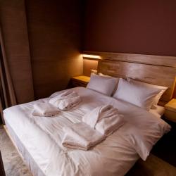 Фото Бутик-отель Клёны