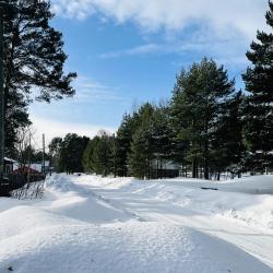 Фото Отель Гостевой комплекс Сосны