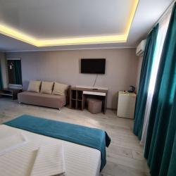 Комната люкс с 1 двуспальной кроватью с видом на море