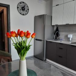 Фото Авторские апартаменты на улице Грибанова