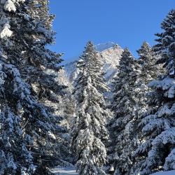 Эко Парк — a68e3f4189302d8aef925173403a2aa1