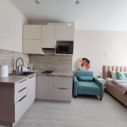 1-комнатные апартаменты студия