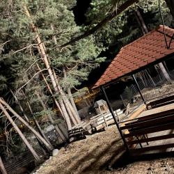 Фото Отель Метелица