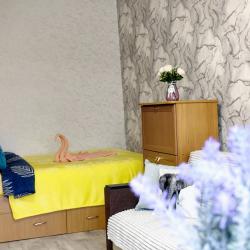 Фото Отель Like Home на улице Ломоносова 102А