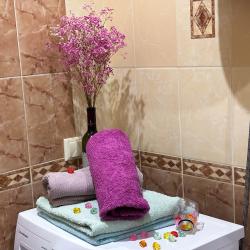 Фото Апартаменты на улице Ленина 93