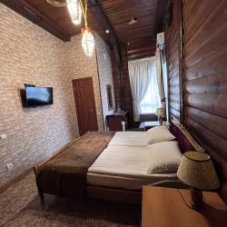 Фото Отель Викинг