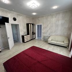 Апартаменты стандарт с 1 двуспальной кроватью
