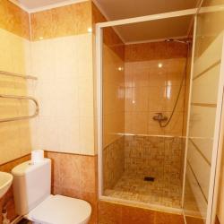 Комната люкс с 1 двуспальной кроватью