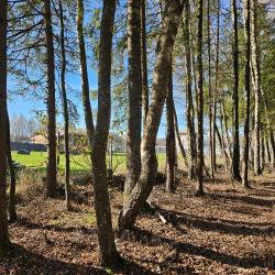 Фото Отель Елли и Пелли