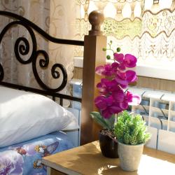 Фото Отель Элизиум