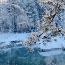 Фото Отель Коттедж