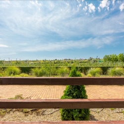Фото Отель Tizdar Family Resort & Spa (Тиздар)