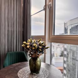 1-комнатные апартаменты улучшенные ул. Газовиков 3А/2