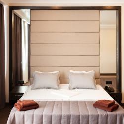 Номер люкс с 1 двуспальной кроватью