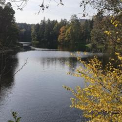 Фото Апартаменты