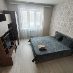 Фото Отель Уютная однокомнатная квартира за Глобусом